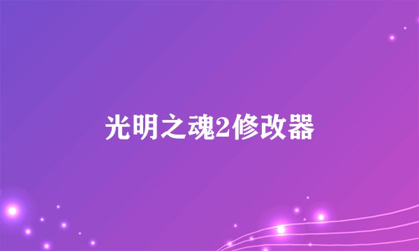 光明之魂2修改器