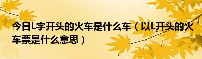 今日L字开头的火车是什么车（以L开头的火车票是什么意思）