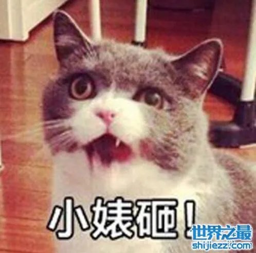 小婊砸就是小婊子的意思,熟人之间却用来调侃