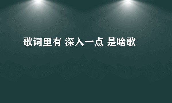 歌词里有 深入一点 是啥歌