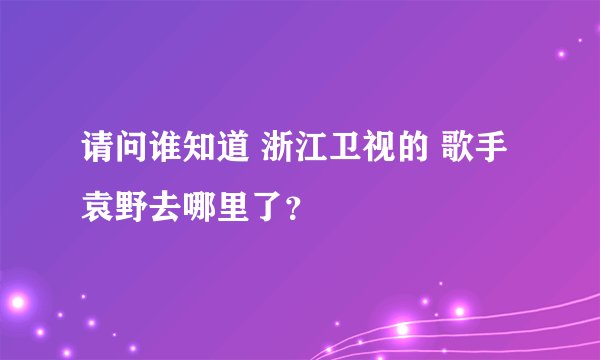 请问谁知道 浙江卫视的 歌手 袁野去哪里了？
