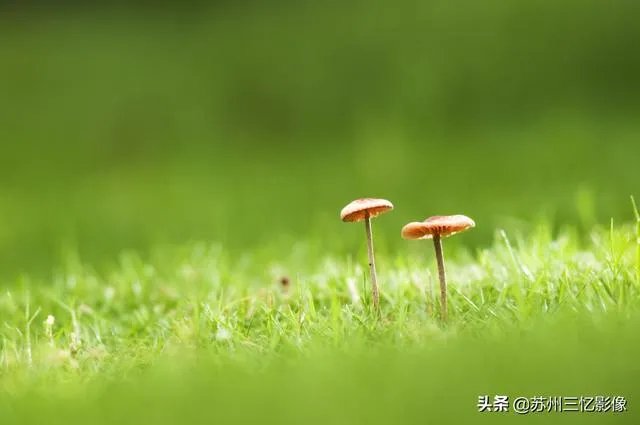 尼康d300s怎么样?