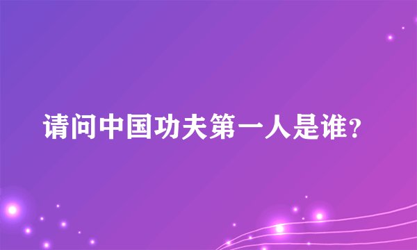 请问中国功夫第一人是谁？