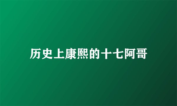 历史上康熙的十七阿哥
