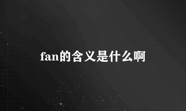 fan的含义是什么啊