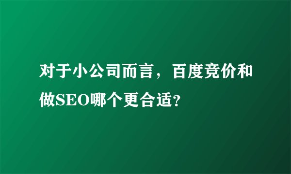 对于小公司而言，百度竞价和做SEO哪个更合适？