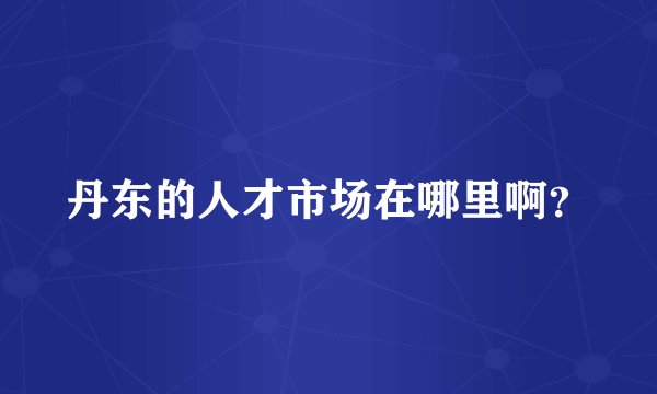 丹东的人才市场在哪里啊？