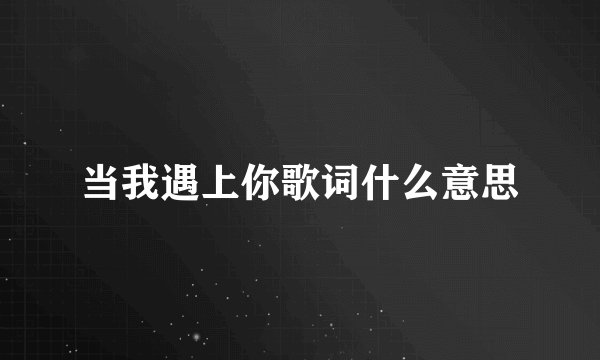 当我遇上你歌词什么意思