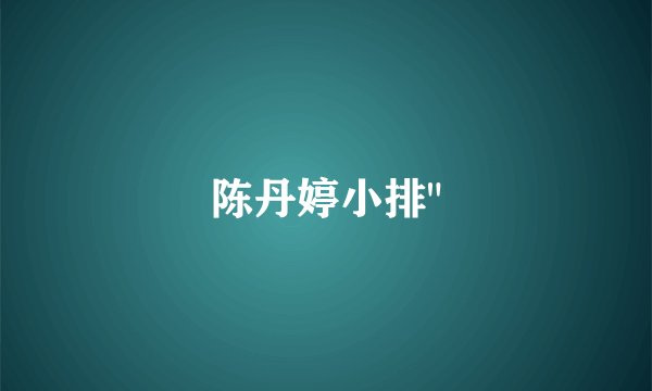陈丹婷小排