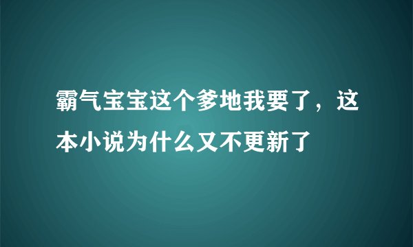 霸气宝宝这个爹地我要了，这本小说为什么又不更新了