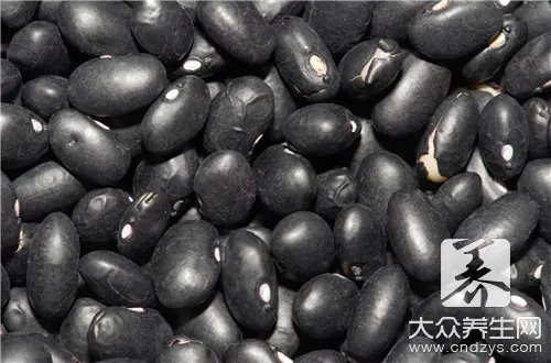 一斤大豆能榨多少油