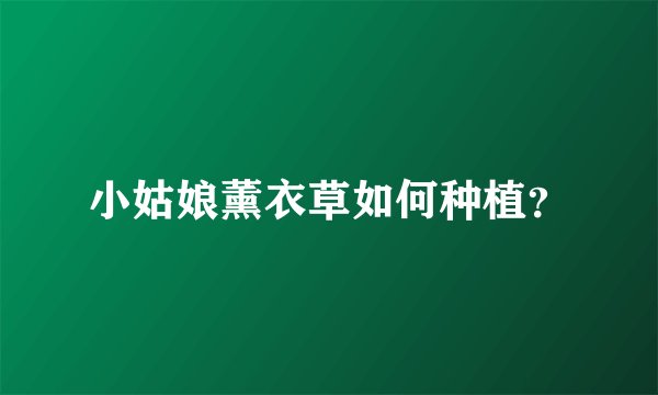 小姑娘薰衣草如何种植?