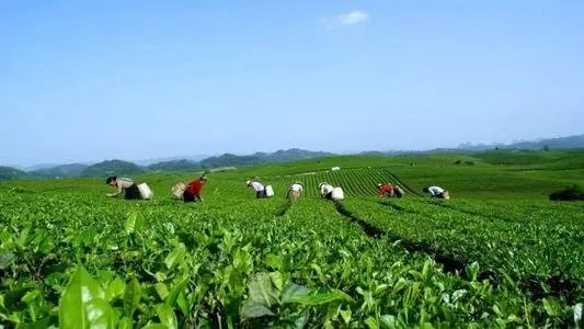 中国已消除绝对贫困，你对如今的生活作何评价？