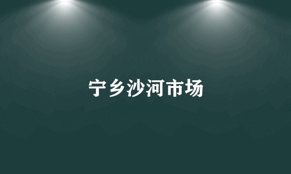 宁乡沙河市场
