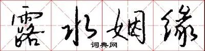 露水姻缘