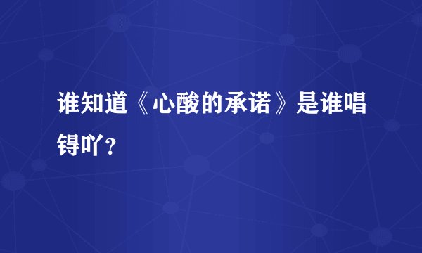 谁知道《心酸的承诺》是谁唱锝吖？