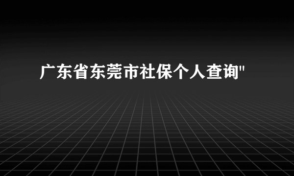 广东省东莞市社保个人查询
