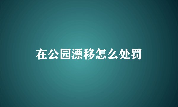 在公园漂移怎么处罚