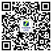 苹果iPhone5s国行报价2499元 圣诞热销