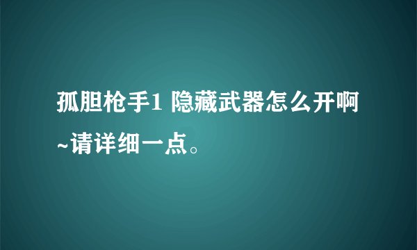 孤胆枪手1 隐藏武器怎么开啊~请详细一点。