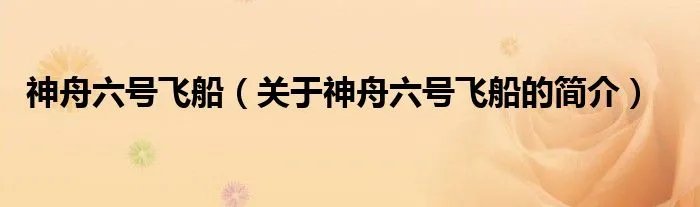 神舟六号飞船（关于神舟六号飞船的简介）