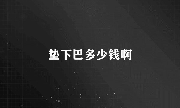 垫下巴多少钱啊