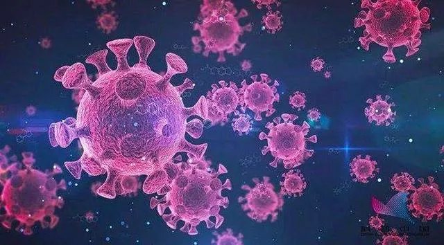 查尔斯王子确诊新冠肺炎意味着什么?