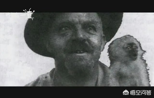 1933年后出现的“尼斯湖水怪”，真相到底是怎样的？