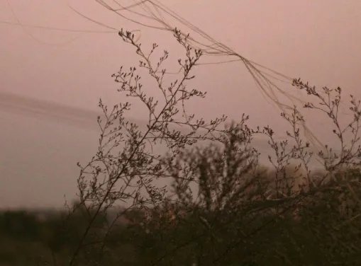 林雨墨,周灵是什么电视?