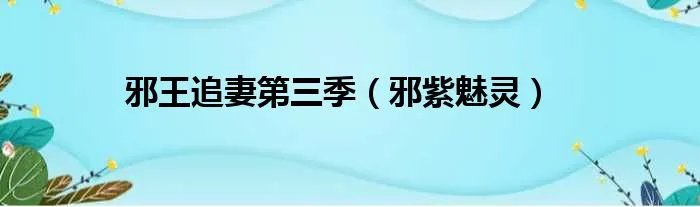 邪王追妻第三季（邪紫魅灵）
