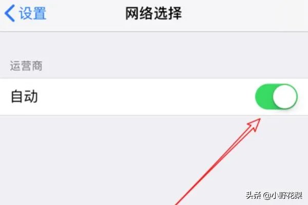 iphone怎么改运营商?