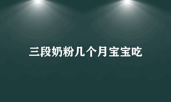 三段奶粉几个月宝宝吃