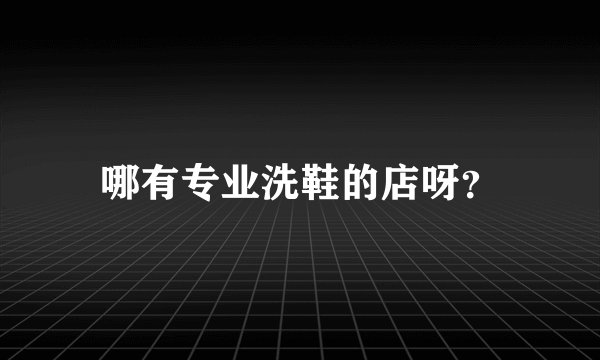 哪有专业洗鞋的店呀?