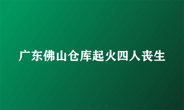 广东佛山仓库起火四人丧生