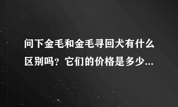 问下金毛和金毛寻回犬有什么区别吗？它们的价格是多少？哪里有卖的啊？哪里的最有保障？郑州有吗？