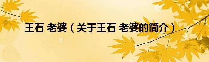 王石 老婆（关于王石 老婆的简介）