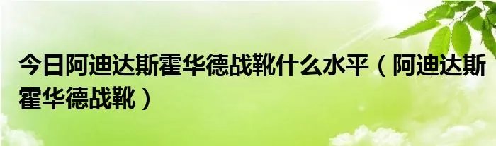 今日阿迪达斯霍华德战靴什么水平（阿迪达斯霍华德战靴）