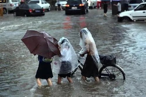 印度青蛙为求雨结婚,结婚后下雨这到底是运气好还是有什么不为人知的秘密?