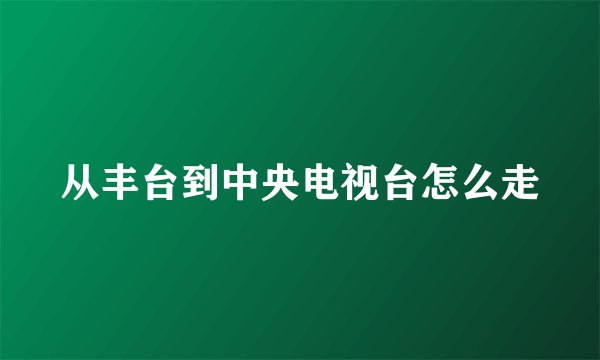 从丰台到中央电视台怎么走
