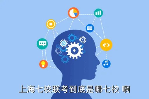 七校联考，上海七校联考到底是哪七校 啊