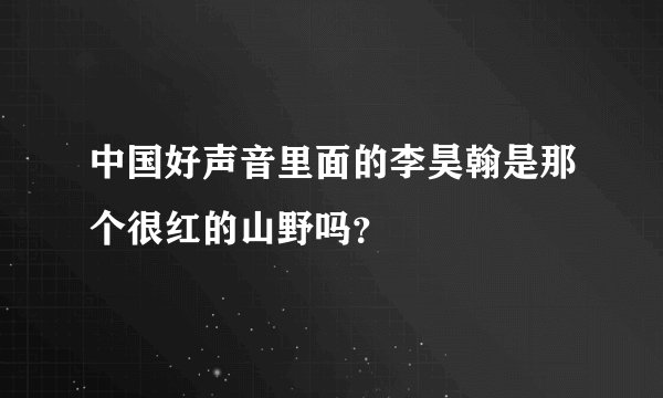 中国好声音里面的李昊翰是那个很红的山野吗？