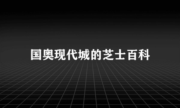 国奥现代城的芝士百科