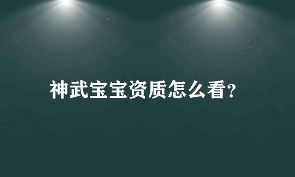 神武宝宝资质怎么看？