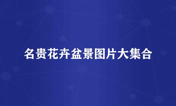 名贵花卉盆景图片大集合