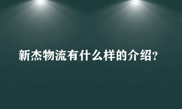 新杰物流有什么样的介绍？