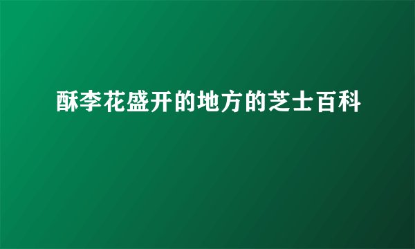 酥李花盛开的地方的芝士百科