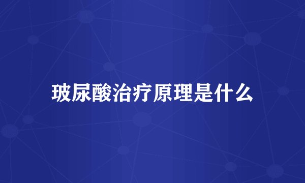 玻尿酸治疗原理是什么