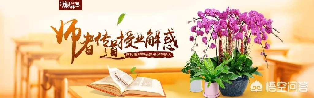 九月十号是教师节,有人提出孔子的诞辰日作为教师节,为此你怎么看?