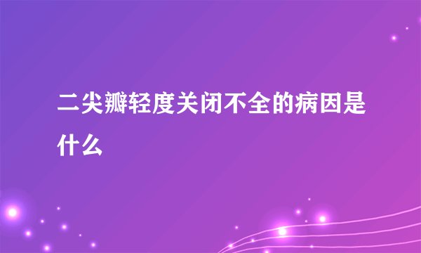 二尖瓣轻度关闭不全的病因是什么