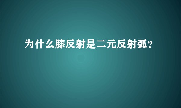 为什么膝反射是二元反射弧？